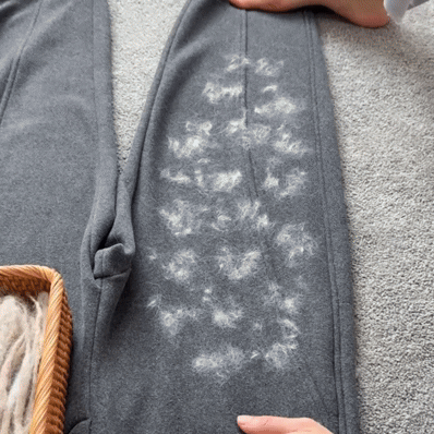 DaySweep Pad - Pet Hair Removal