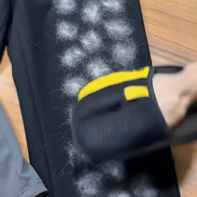 DaySweep Pad - Pet Hair Removal